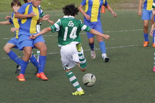 开云APP-瑞典逆转荷兰，哈兰德惊艳世界——欧洲足坛的经典之战