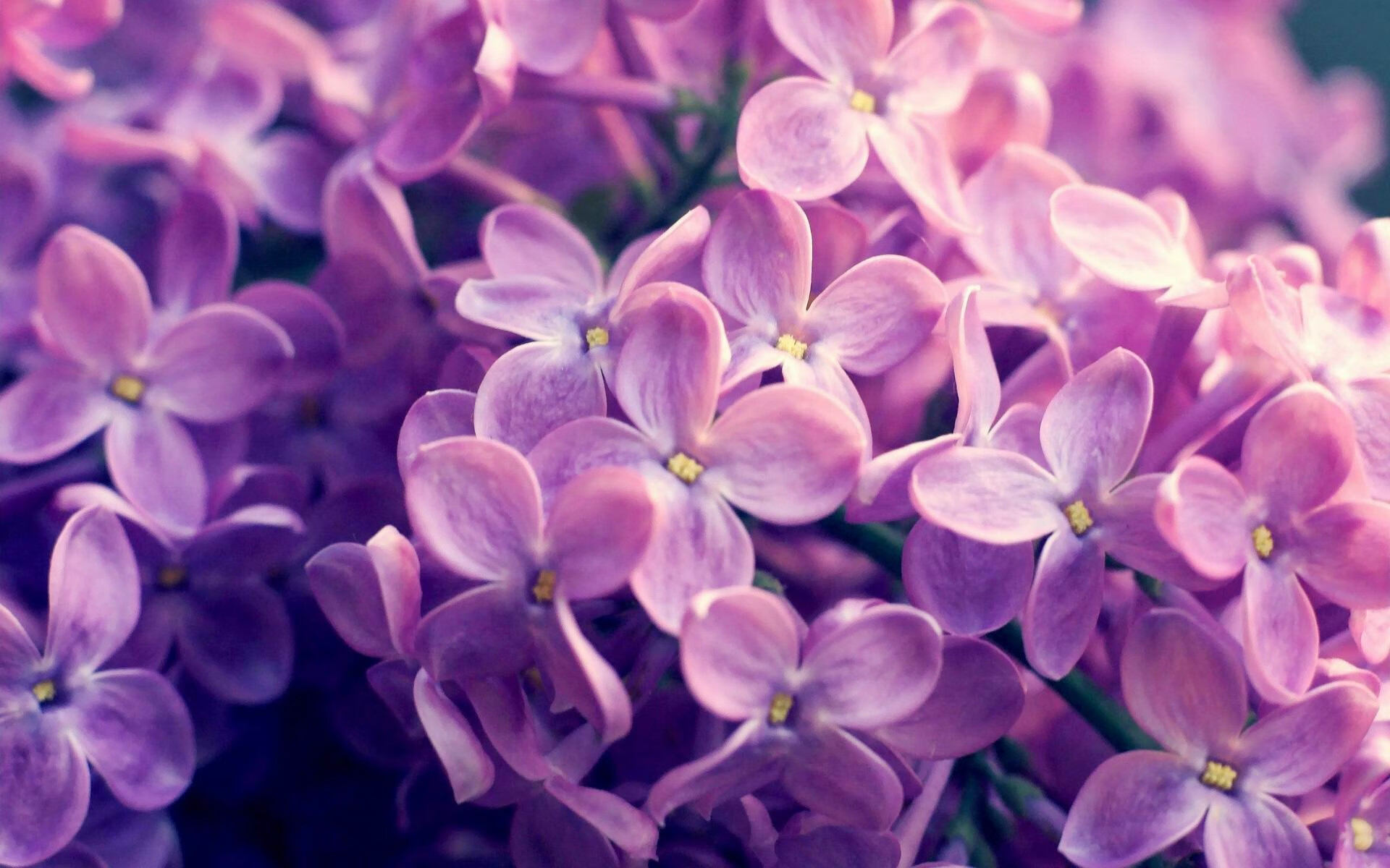 第92分钟绝平+加时制胜！昔日弃将废墟重生，拯救尼日利亚于水火